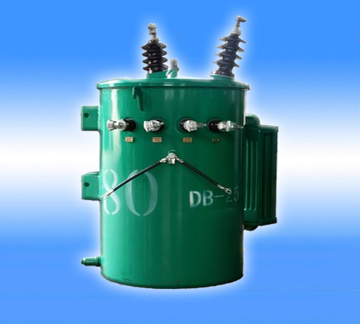 10kV single box transformer manufacturer